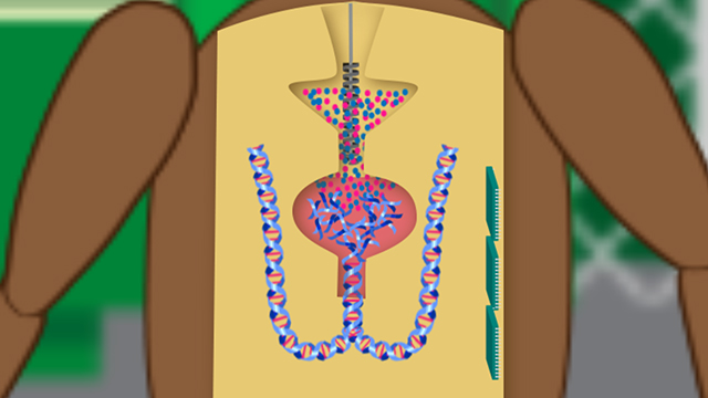 ROTWIRE_IDM_101_640x360