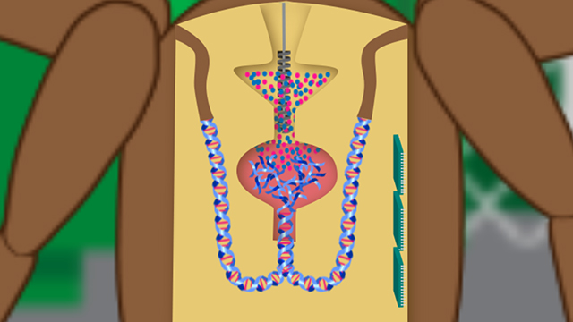 ROTWIRE_IDM_102_640x360